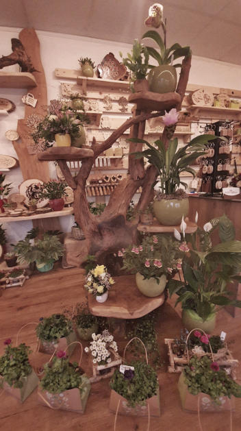 Blumeständer aus massiver Baumwurzel